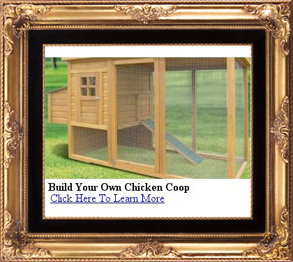 how to build your own chicken coop with these designs