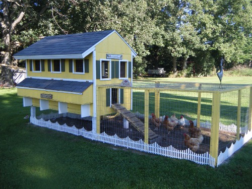 chicken coop design house