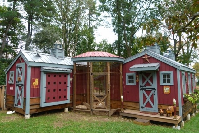 Chicken coop design