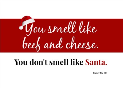 buddy the elf quotes santa