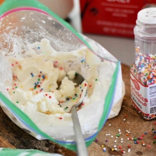 Homemade Ice Cream in a Bag